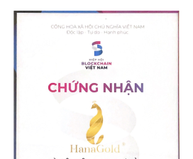 Hội viên Danh dự Hiệp hội Blockchain Việt Nam